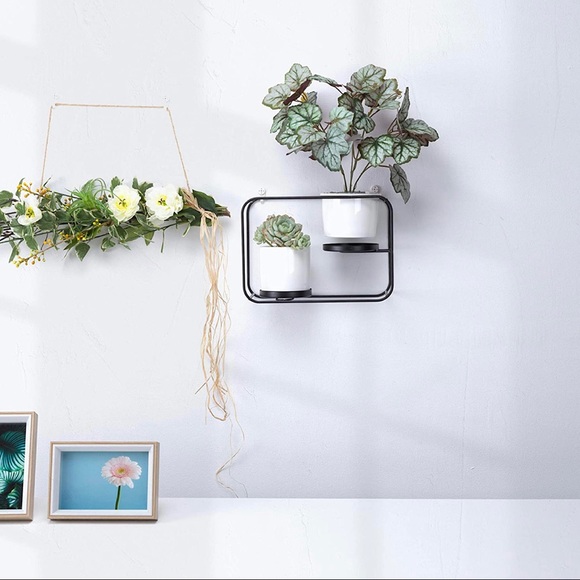 Wall Planters Modern Design Wall Plant Holder - Picture 6 of 7